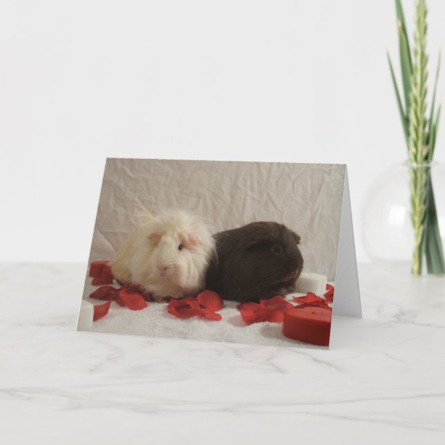 2 Guinea Pig Valentines Holiday Card (Front)