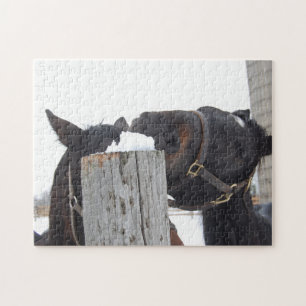 2 Horses Chewing on a Fence Jigsaw Puzzle