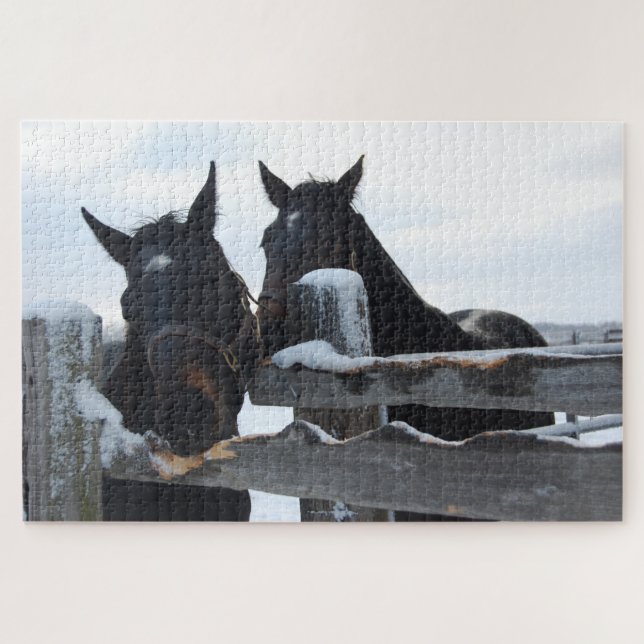 2 Horses Chewing on a Fence Jigsaw Puzzle (Horizontal)