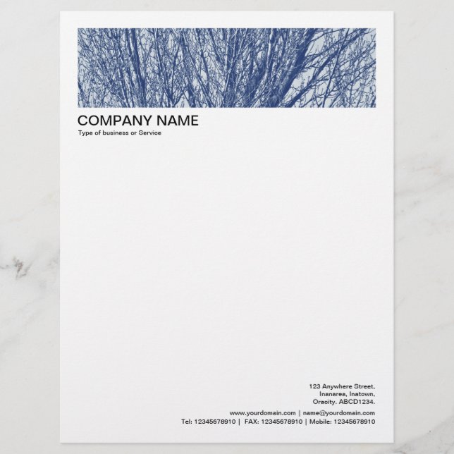 2 in Header 1/2 Inch Border - Birch Branches Custom Letterhead (Front)