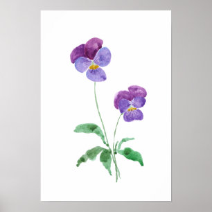 2 little purple pansies watercolour poster
