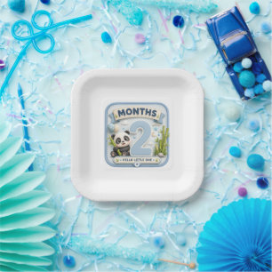 2 Month Baby Milestone World Adventure Paper Plate
