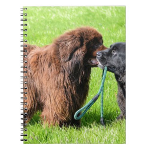 2 newfies.png spiral notebook