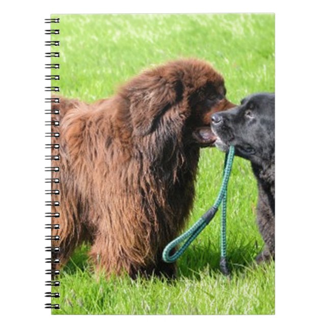 2 newfies.png spiral notebook (Front)