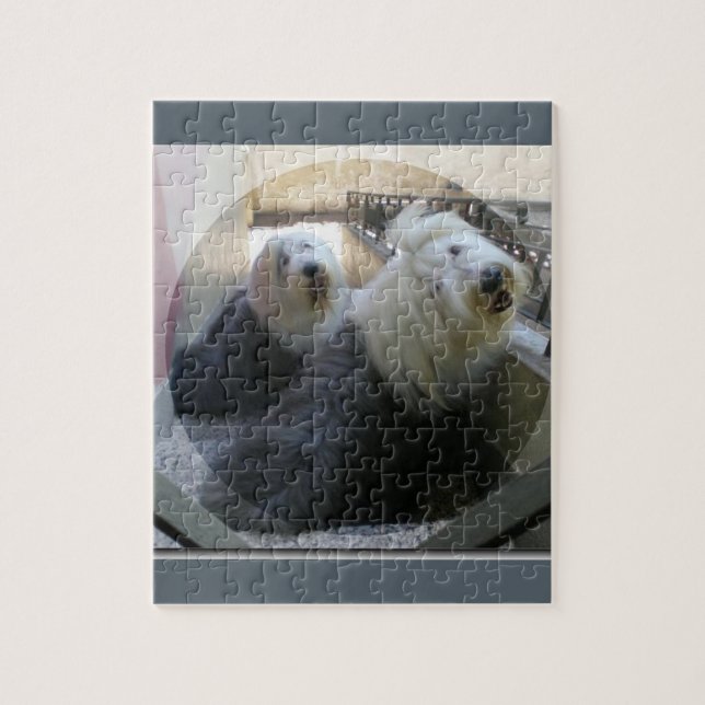 2 old english sheepdogs jigsaw puzzle (Vertical)