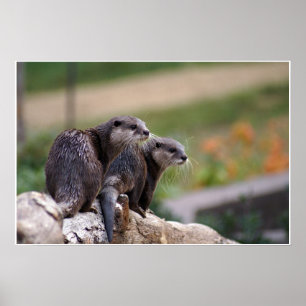 2 otters poster