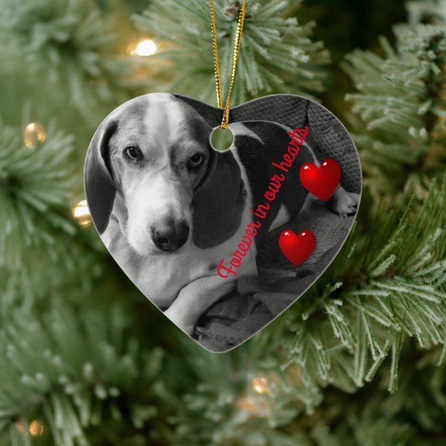 2 Pet photo memory ornament (Tree)