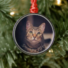 2 Photo Pet Name & Year Simple Gold Typography