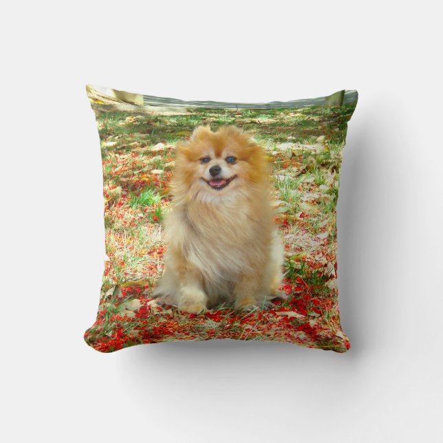 2 Photos Cute Pomeranian dog red flowers Cushion (Front)