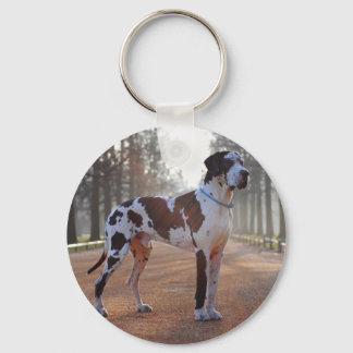 2 photos Great Dane Keychain – Great Dane gift