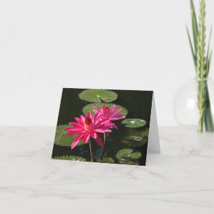 2 pink water lilies greeting card #1  7711