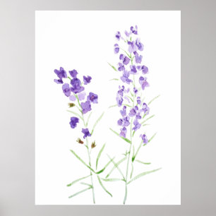 2 purple wildflower watercolor  poster