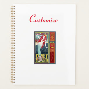 2 redheaded coney island mermaids planner