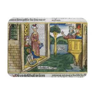 2 Samuel 11 1-5 David sees Bathsheba bathing, from Magnet