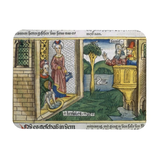 2 Samuel 11 1-5 David sees Bathsheba bathing, from Magnet (Horizontal)