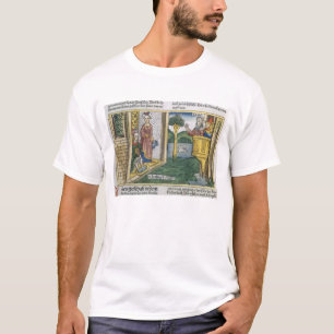 2 Samuel 11 1-5 David sees Bathsheba bathing, from T-Shirt