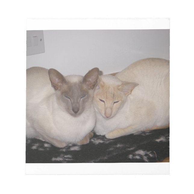 2 siamese notepad (Front)