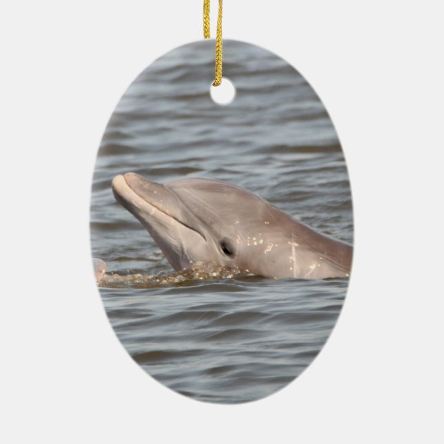 2-sided dolphin ornament (Back)