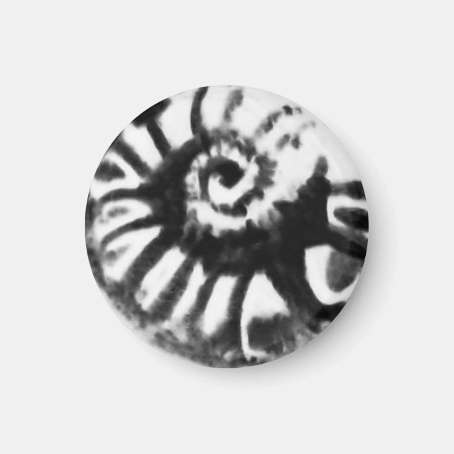 2 sided fossil nautiloid design in   black button magnet (Front)