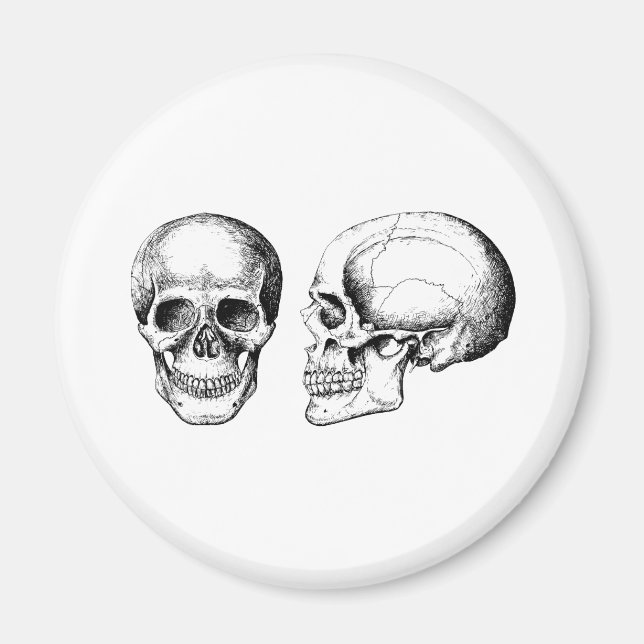 2 Skulls White Magnet (Front)