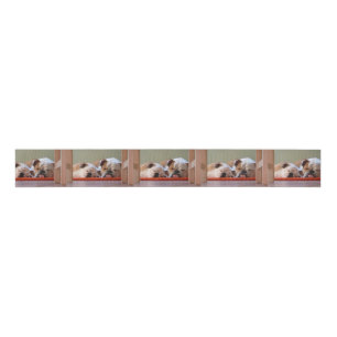 2 sleeping bulldogs.png grosgrain ribbon