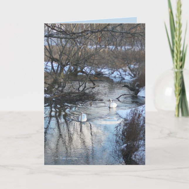 2 Swans in Winter Card (Front)