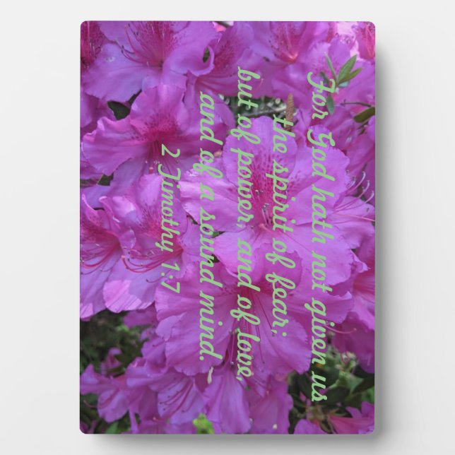 2 Timothy 1:7 For God hath not given us the spirit Plaque (Front)