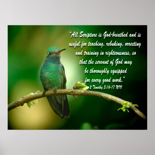 2 Timothy 3:16-17 Christian Poster Hummingbird (Front)