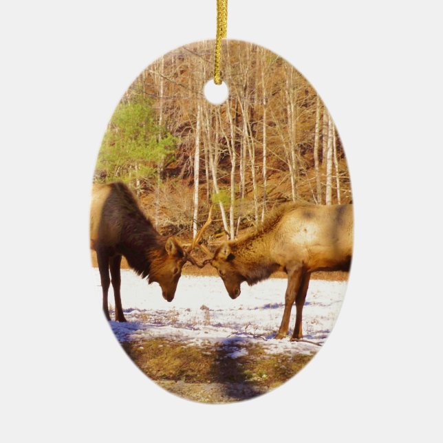 2~ two Bull Elk in the snow Ceramic Tree Decoration (Front)