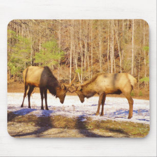 2~ two Bull Elk in the snow Mouse Pad