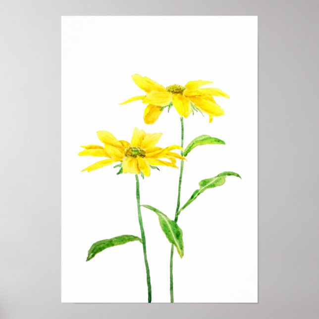 2 yellow Jerusalem daises watercolor Poster (Front)