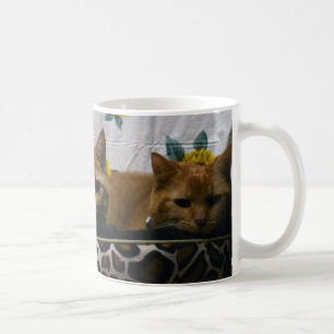 2Cats Coffee Mug