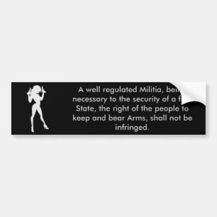 2nd amendment bumper sticker