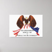 2nd Amendment Throw Pillow