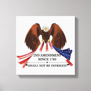 2nd Amendment  Throw Pillow Canvas Print