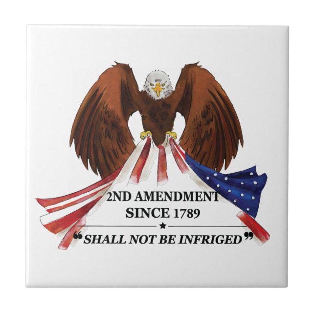 2nd Amendment  Throw Pillow Tile (Front)