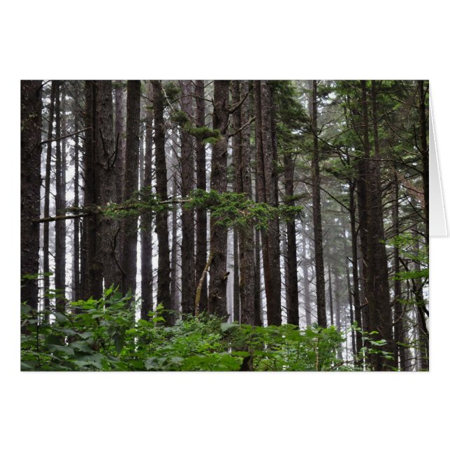 2nd Beach at La Push, WA (Front Horizontal)