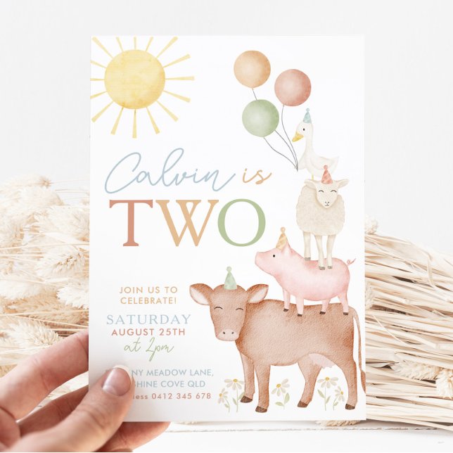  2nd Birthday Farm Animals Barnyard Party Boys Invitation (Creator Uploaded)