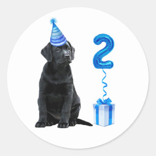 2nd Birthday Puppy Theme- Cute Dog Blue Boy Pawty Classic Round Sticker