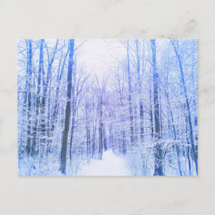 2Winter Woodland postcard