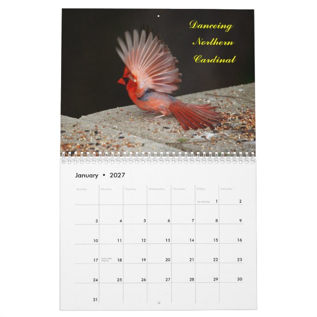 2yr.Calender deplicting birds starting Jan.2013 Calendar (Jan 2027)