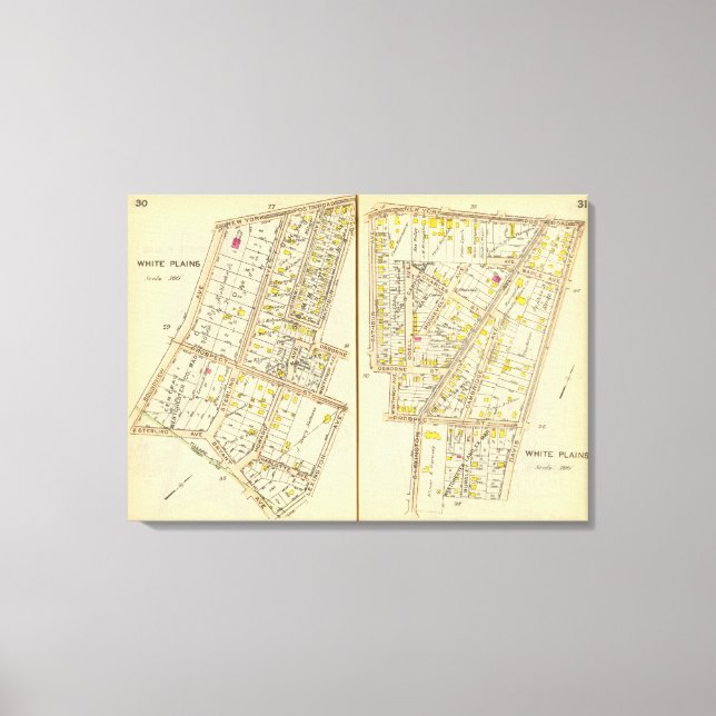 30-31 White Plains Canvas Print (Front)