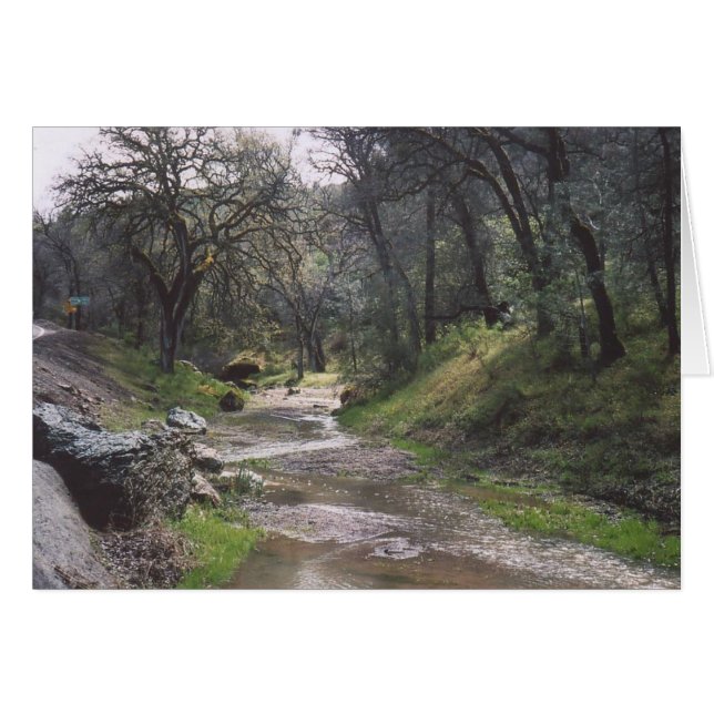 30. California Stream (Front Horizontal)