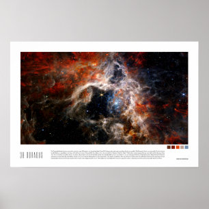 30 Doradus (Tarantula Nebula, NGC 2070) Poster