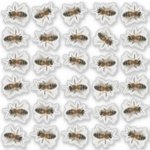 30 Life-sized Honeybee Honey Jar Lid Stickers