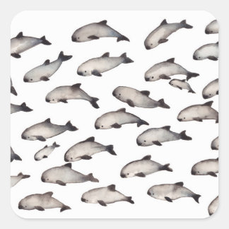 30 vaquita porpoise dolphin square sticker