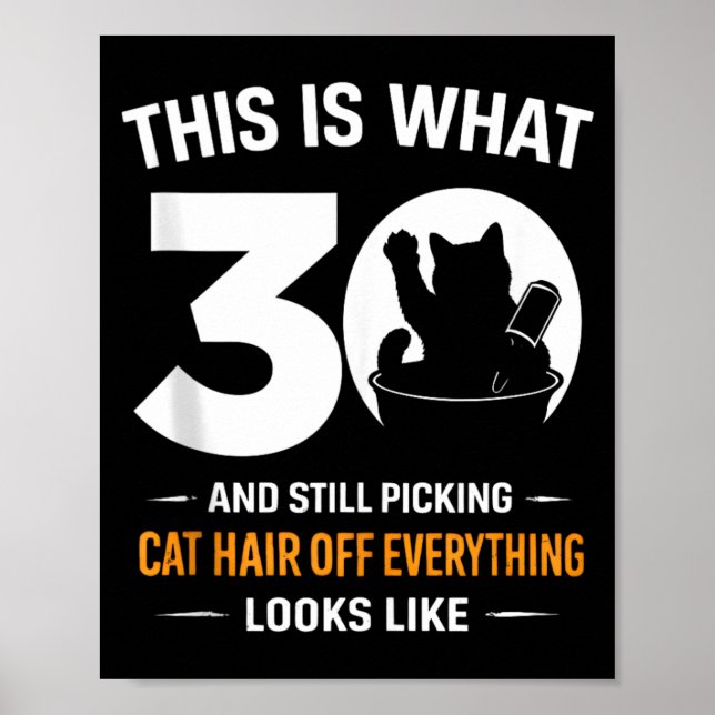 30th Birthday 30 Years Old Funny Cat Lover Poster (Front)