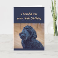 30th Birthday Fun Cute Black Curly Dog Pet