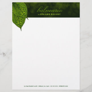 311-Dream Leaf Letterhead