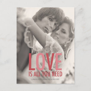 311 Photo Love is all You Need Red Pink Postcard